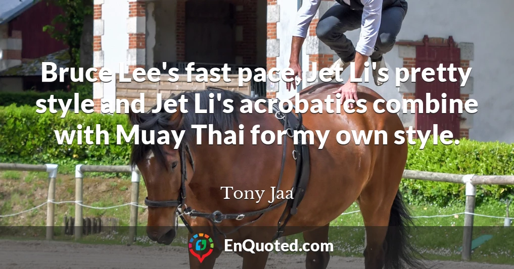 Bruce Lee's fast pace, Jet Li's pretty style and Jet Li's acrobatics combine with Muay Thai for my own style.