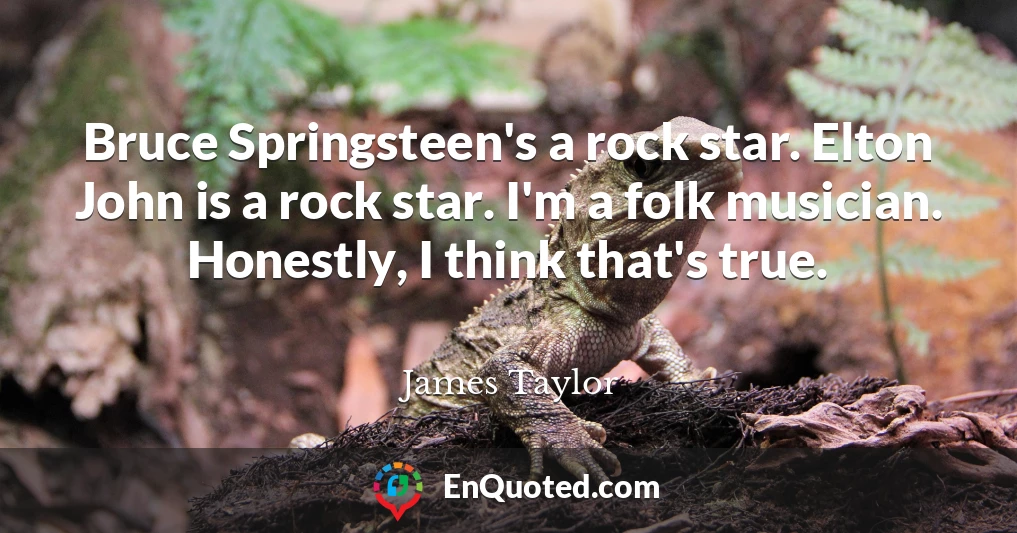 Bruce Springsteen's a rock star. Elton John is a rock star. I'm a folk musician. Honestly, I think that's true.