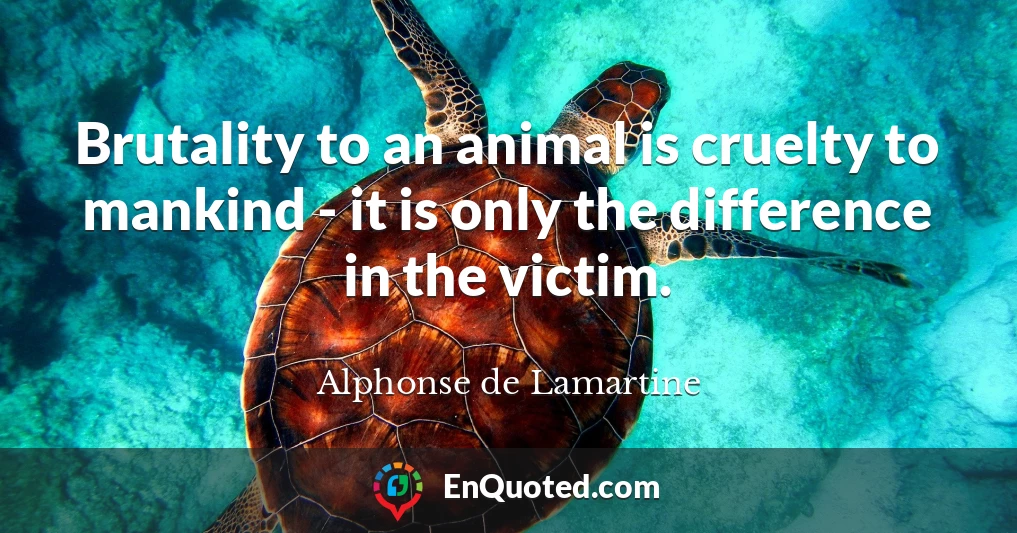 Brutality to an animal is cruelty to mankind - it is only the difference in the victim.