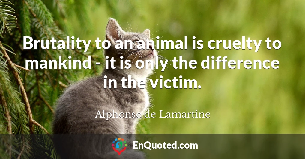 Brutality to an animal is cruelty to mankind - it is only the difference in the victim.