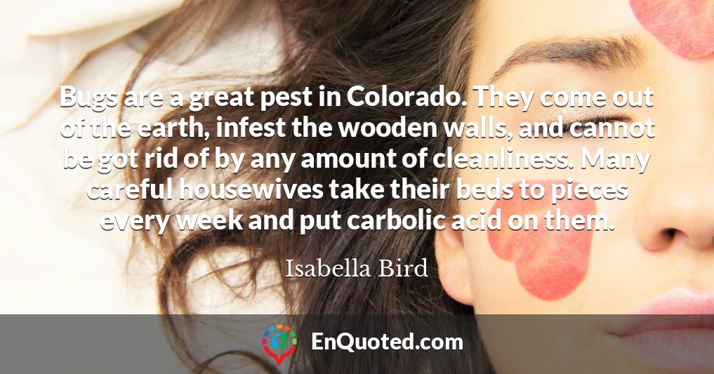Bugs are a great pest in Colorado. They come out of the earth, infest the wooden walls, and cannot be got rid of by any amount of cleanliness. Many careful housewives take their beds to pieces every week and put carbolic acid on them.