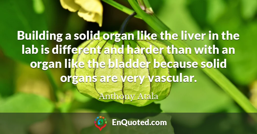 Building a solid organ like the liver in the lab is different and harder than with an organ like the bladder because solid organs are very vascular.