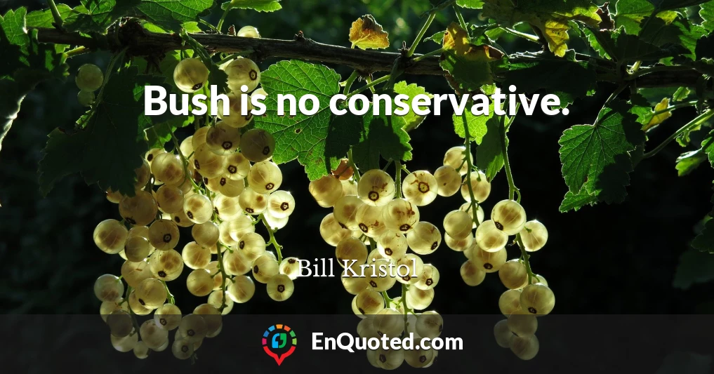 Bush is no conservative.