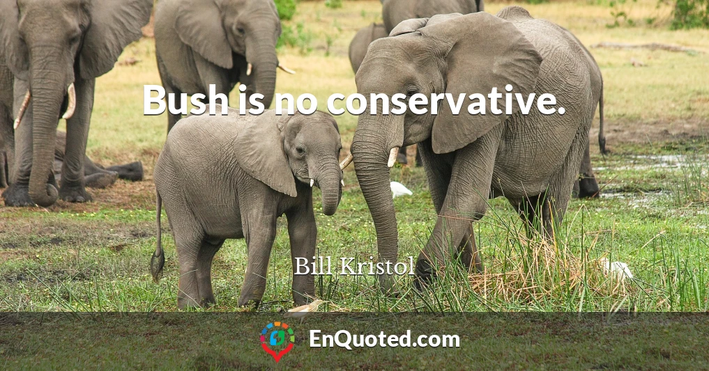 Bush is no conservative.