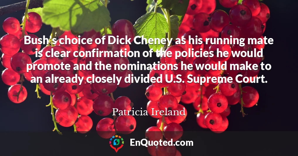 Bush's choice of Dick Cheney as his running mate is clear confirmation of the policies he would promote and the nominations he would make to an already closely divided U.S. Supreme Court.