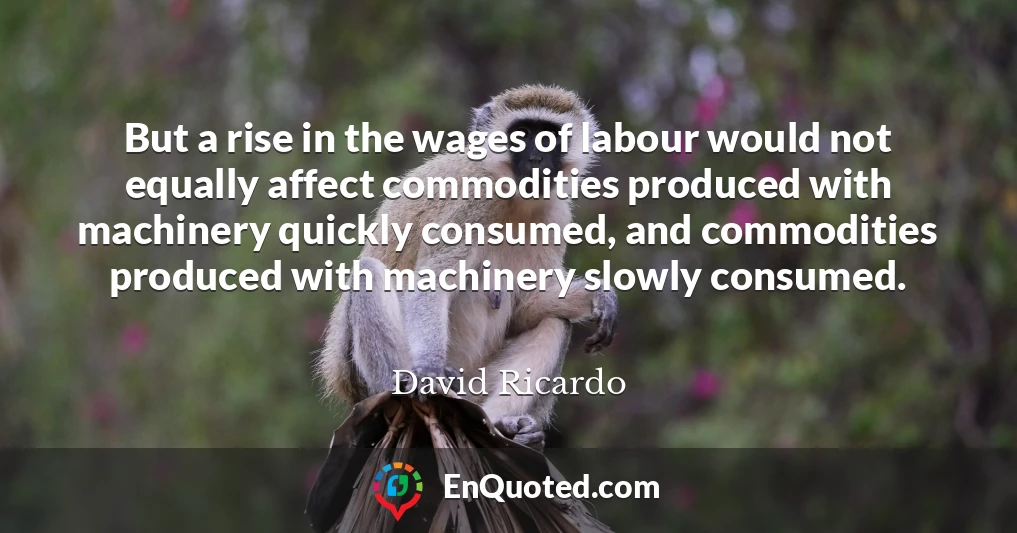 But a rise in the wages of labour would not equally affect commodities produced with machinery quickly consumed, and commodities produced with machinery slowly consumed.