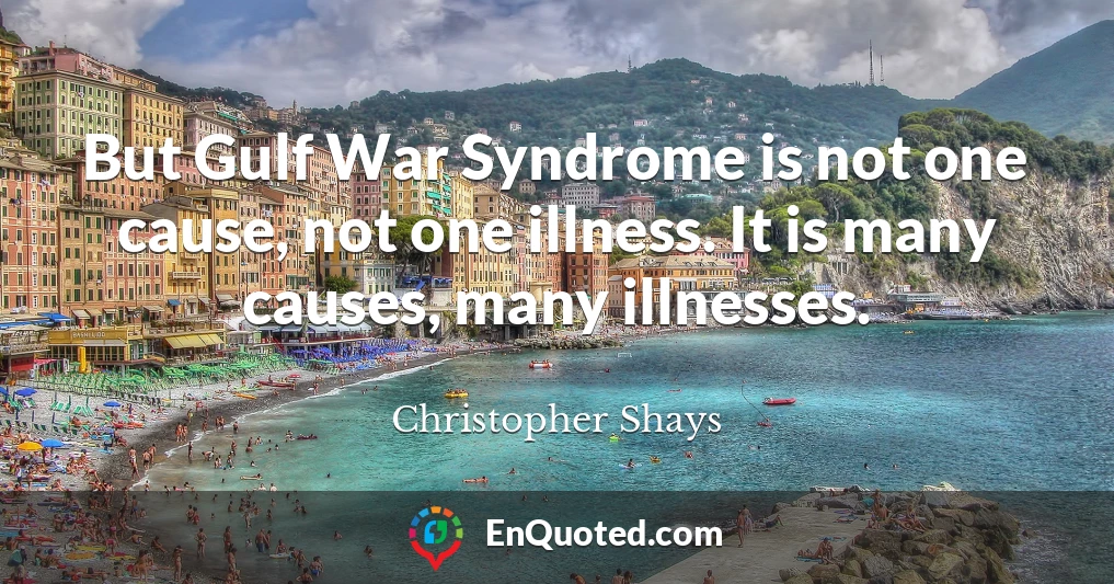 But Gulf War Syndrome is not one cause, not one illness. It is many causes, many illnesses.