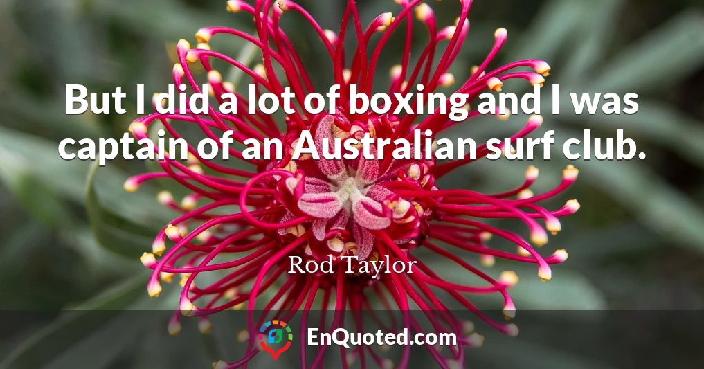 But I did a lot of boxing and I was captain of an Australian surf club.