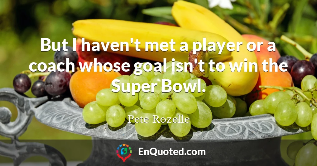 But I haven't met a player or a coach whose goal isn't to win the Super Bowl.
