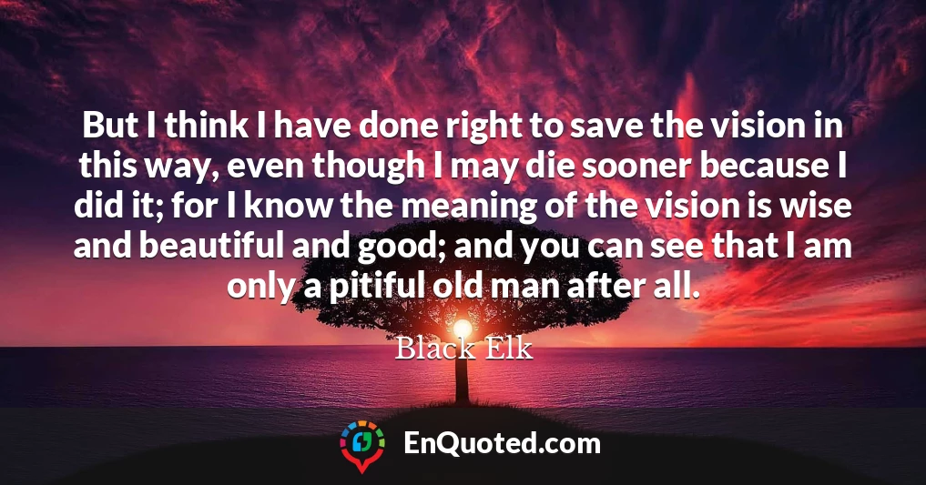 But I think I have done right to save the vision in this way, even though I may die sooner because I did it; for I know the meaning of the vision is wise and beautiful and good; and you can see that I am only a pitiful old man after all.