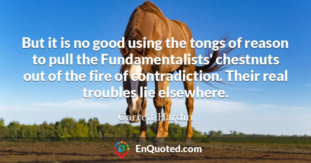 But it is no good using the tongs of reason to pull the Fundamentalists' chestnuts out of the fire of contradiction. Their real troubles lie elsewhere.