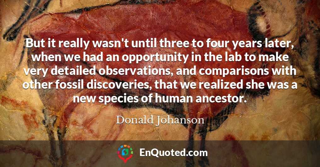 But it really wasn't until three to four years later, when we had an opportunity in the lab to make very detailed observations, and comparisons with other fossil discoveries, that we realized she was a new species of human ancestor.