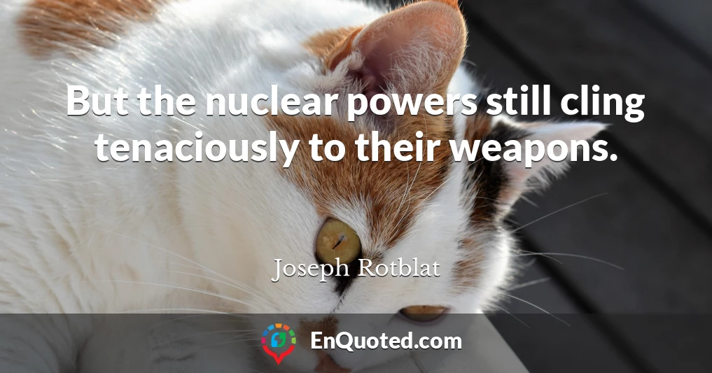 But the nuclear powers still cling tenaciously to their weapons.