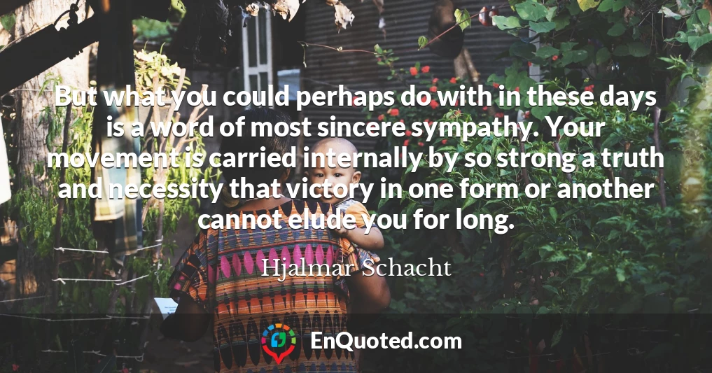 But what you could perhaps do with in these days is a word of most sincere sympathy. Your movement is carried internally by so strong a truth and necessity that victory in one form or another cannot elude you for long.