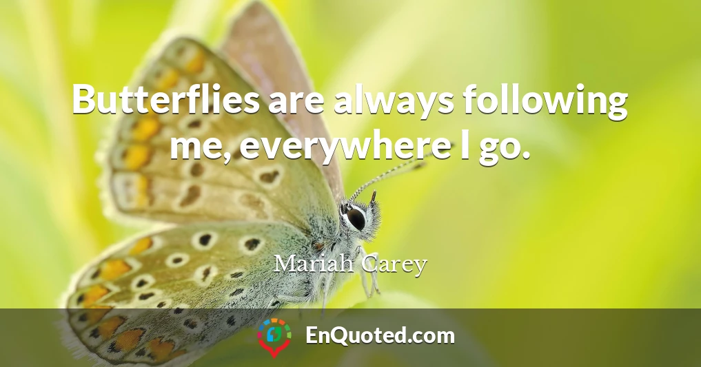 Butterflies are always following me, everywhere I go.