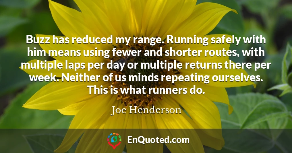Buzz has reduced my range. Running safely with him means using fewer and shorter routes, with multiple laps per day or multiple returns there per week. Neither of us minds repeating ourselves. This is what runners do.