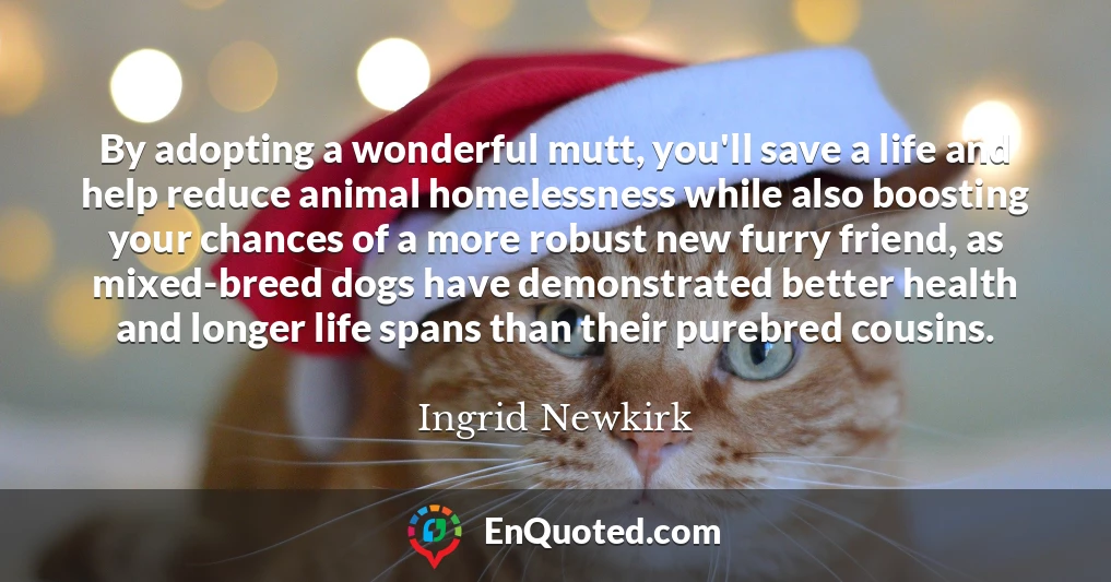 By adopting a wonderful mutt, you'll save a life and help reduce animal homelessness while also boosting your chances of a more robust new furry friend, as mixed-breed dogs have demonstrated better health and longer life spans than their purebred cousins.