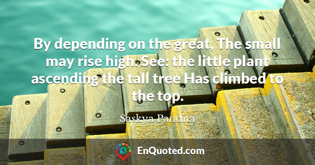 By depending on the great, The small may rise high. See: the little plant ascending the tall tree Has climbed to the top.