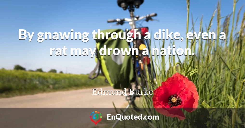By gnawing through a dike, even a rat may drown a nation.