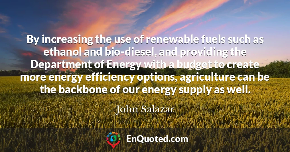 By increasing the use of renewable fuels such as ethanol and bio-diesel, and providing the Department of Energy with a budget to create more energy efficiency options, agriculture can be the backbone of our energy supply as well.