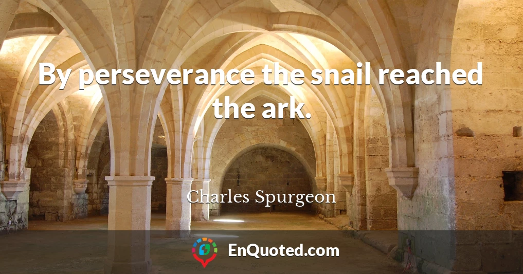 By perseverance the snail reached the ark.