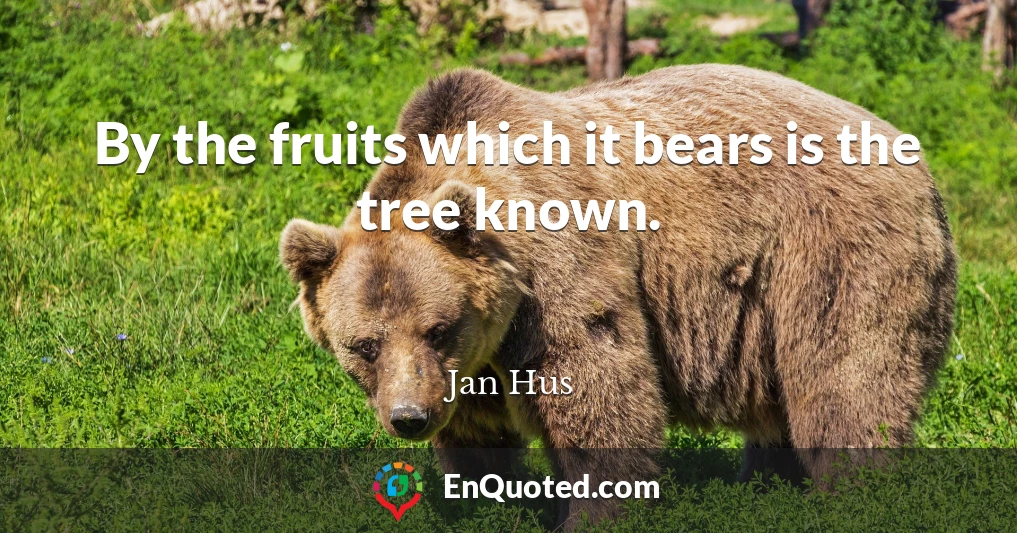 By the fruits which it bears is the tree known.