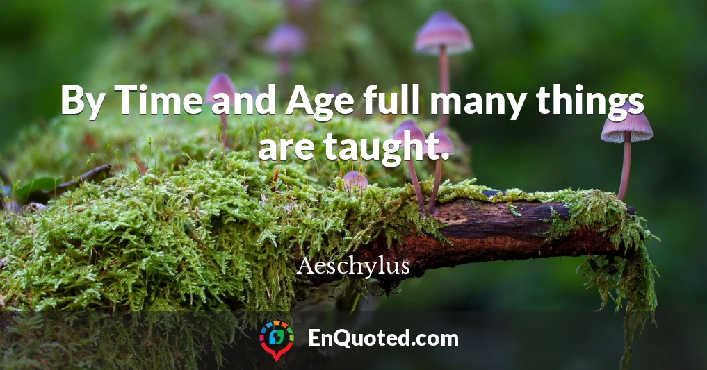 By Time and Age full many things are taught.
