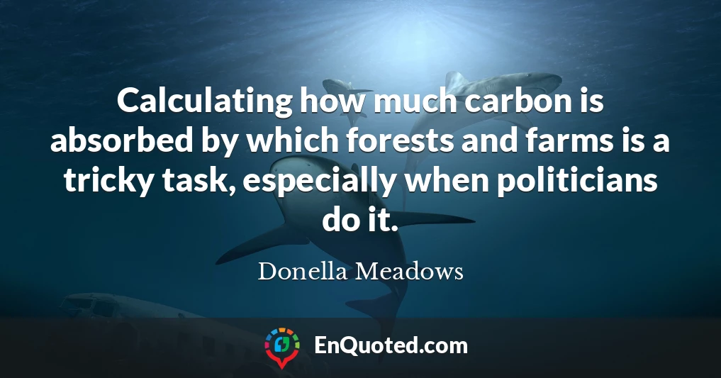 Calculating how much carbon is absorbed by which forests and farms is a tricky task, especially when politicians do it.
