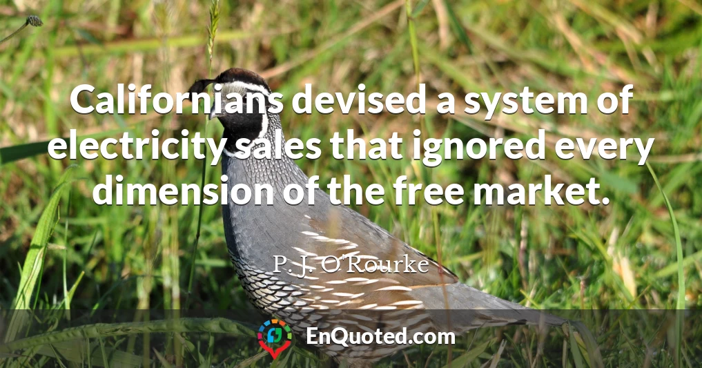 Californians devised a system of electricity sales that ignored every dimension of the free market.