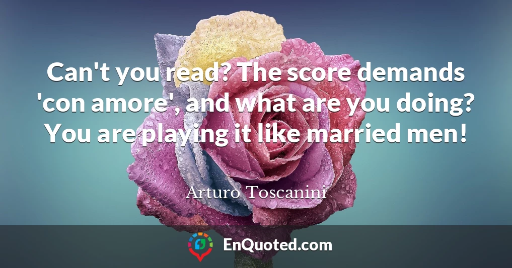 Can't you read? The score demands 'con amore', and what are you doing? You are playing it like married men!
