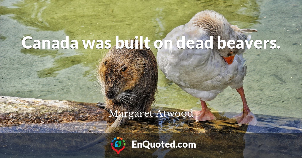 Canada was built on dead beavers.