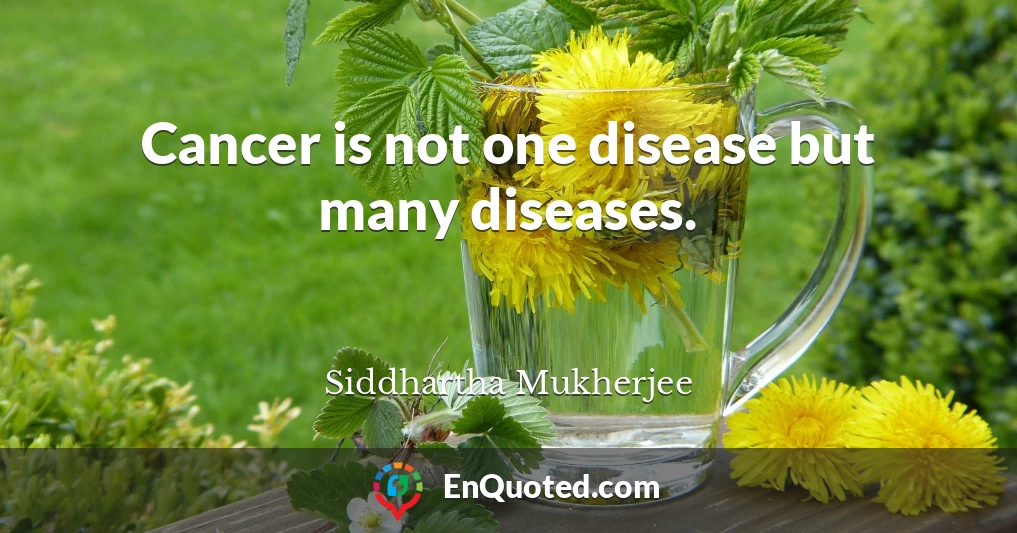 Cancer is not one disease but many diseases.