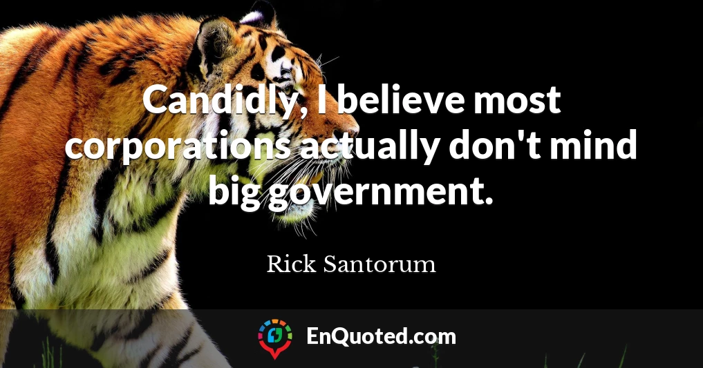 Candidly, I believe most corporations actually don't mind big government.