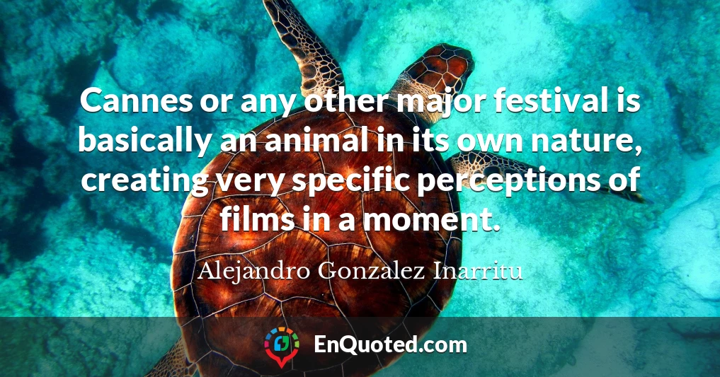 Cannes or any other major festival is basically an animal in its own nature, creating very specific perceptions of films in a moment.