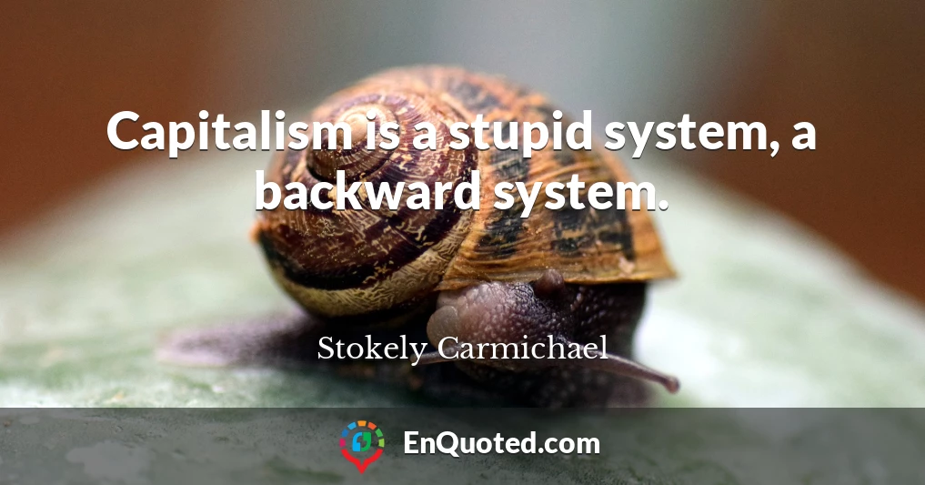 Capitalism is a stupid system, a backward system.