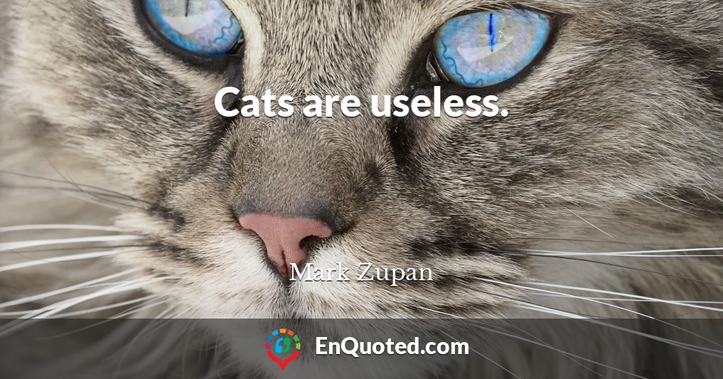 Cats are useless.