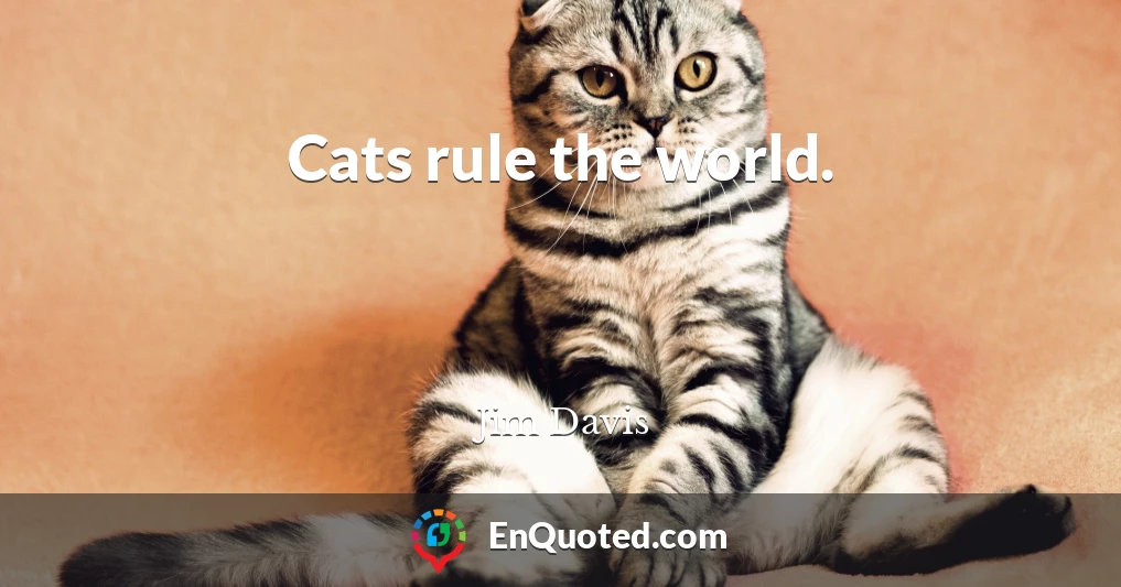Cats rule the world.