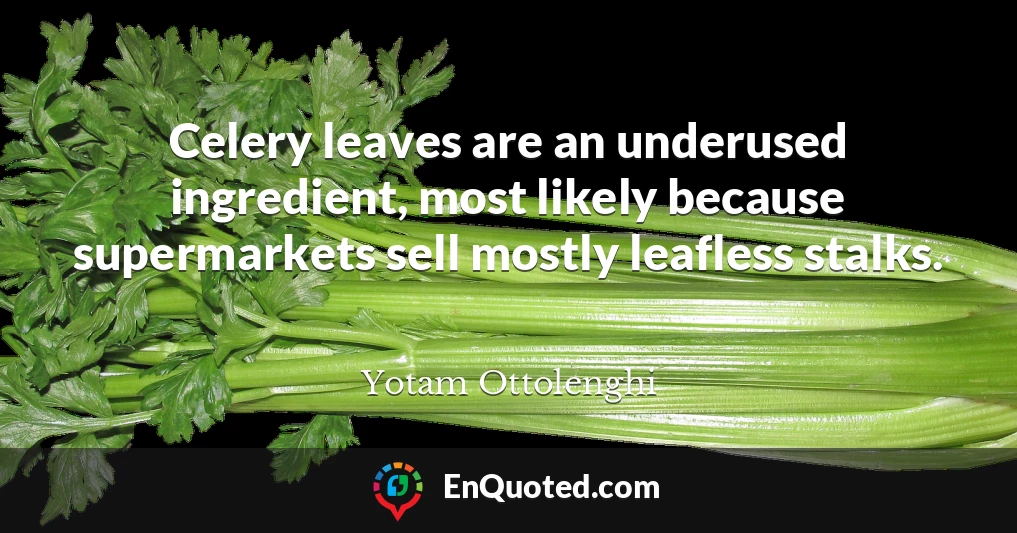 Celery leaves are an underused ingredient, most likely because supermarkets sell mostly leafless stalks.