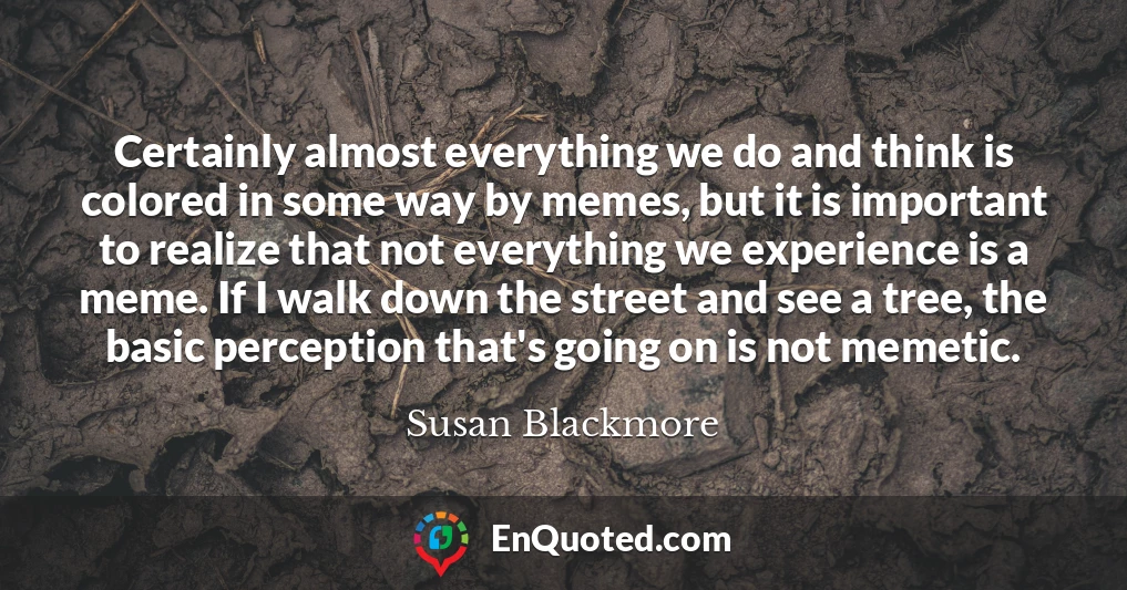 Certainly almost everything we do and think is colored in some way by memes, but it is important to realize that not everything we experience is a meme. If I walk down the street and see a tree, the basic perception that's going on is not memetic.