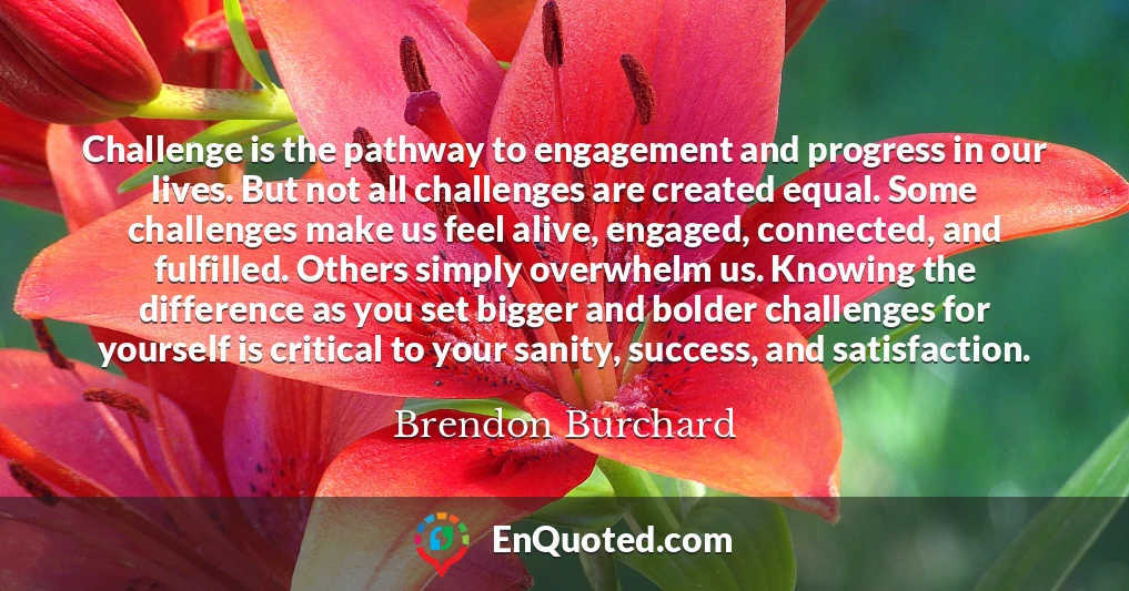 Challenge is the pathway to engagement and progress in our lives. But not all challenges are created equal. Some challenges make us feel alive, engaged, connected, and fulfilled. Others simply overwhelm us. Knowing the difference as you set bigger and bolder challenges for yourself is critical to your sanity, success, and satisfaction.