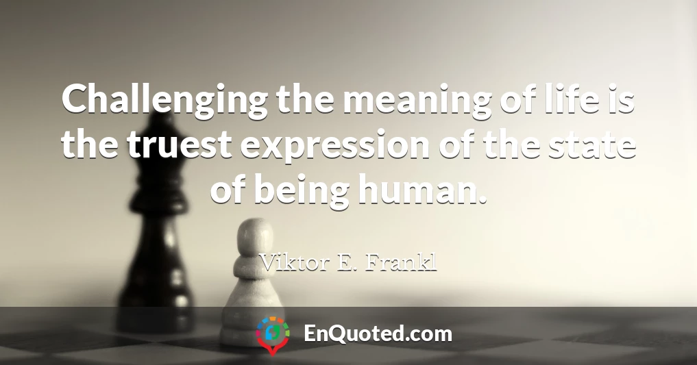 Challenging the meaning of life is the truest expression of the state of being human.