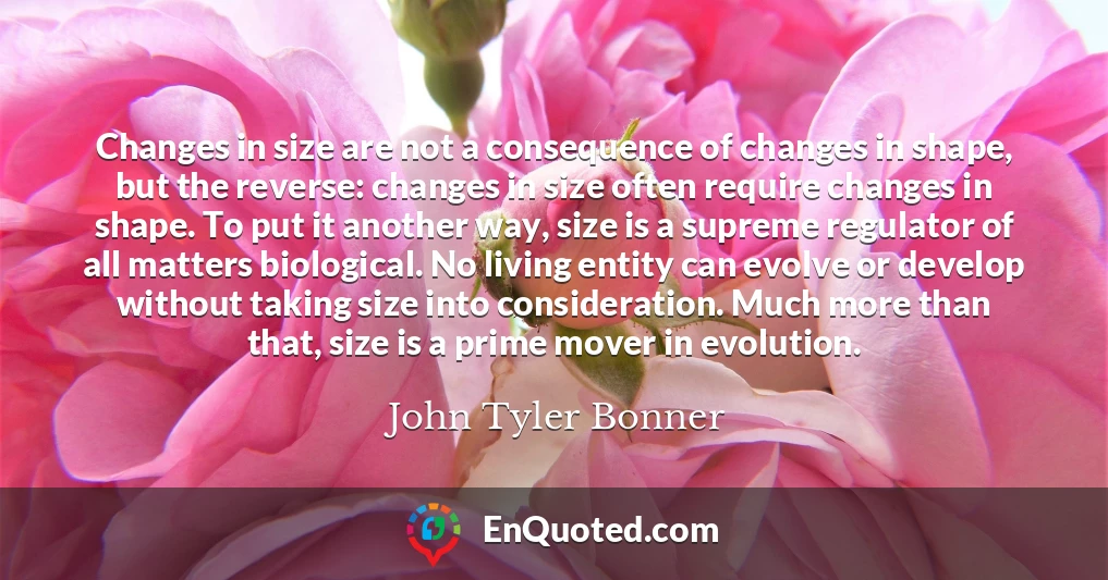 Changes in size are not a consequence of changes in shape, but the reverse: changes in size often require changes in shape. To put it another way, size is a supreme regulator of all matters biological. No living entity can evolve or develop without taking size into consideration. Much more than that, size is a prime mover in evolution.