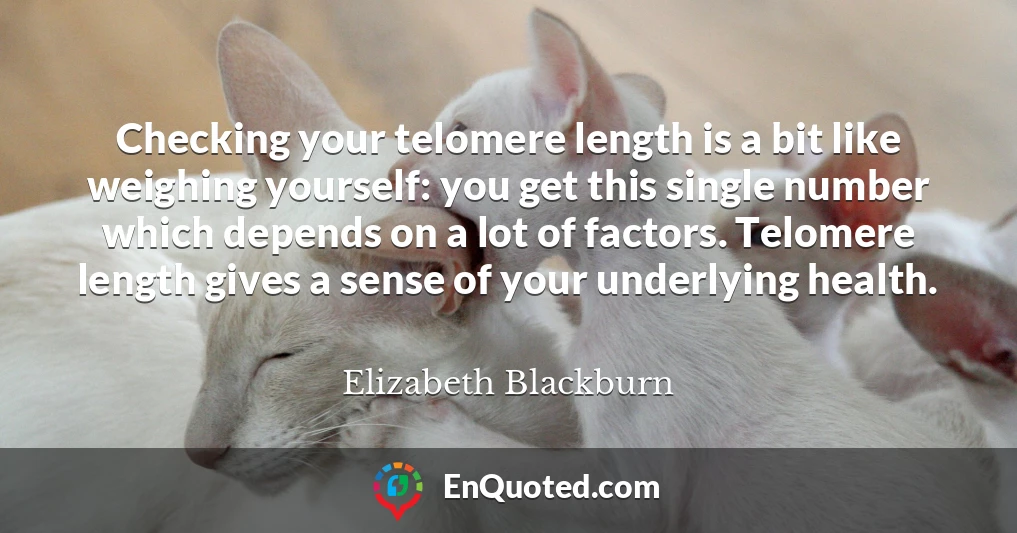 Checking your telomere length is a bit like weighing yourself: you get this single number which depends on a lot of factors. Telomere length gives a sense of your underlying health.
