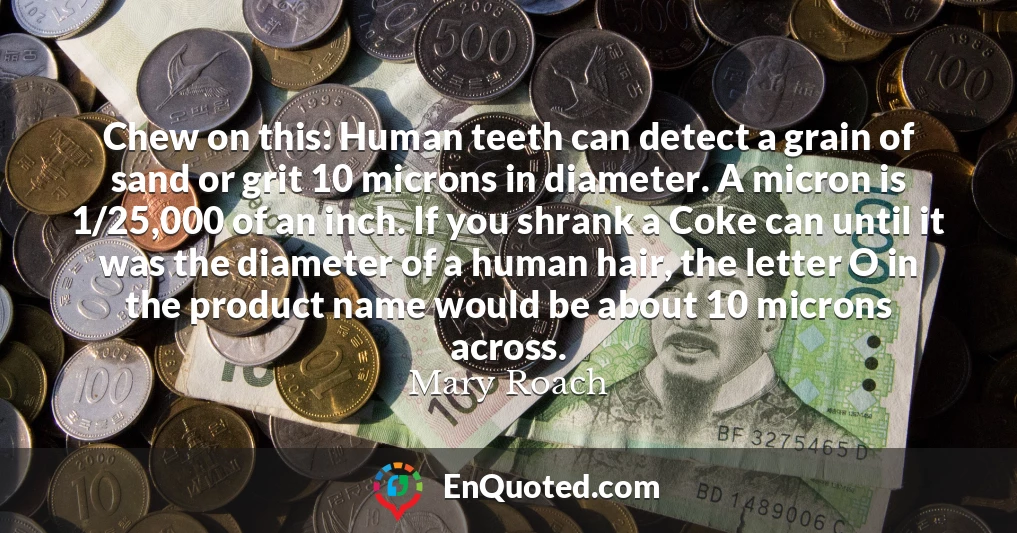 Chew on this: Human teeth can detect a grain of sand or grit 10 microns in diameter. A micron is 1/25,000 of an inch. If you shrank a Coke can until it was the diameter of a human hair, the letter O in the product name would be about 10 microns across.