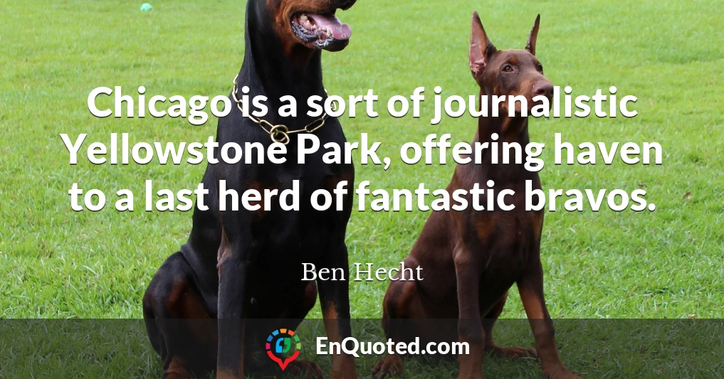 Chicago is a sort of journalistic Yellowstone Park, offering haven to a last herd of fantastic bravos.