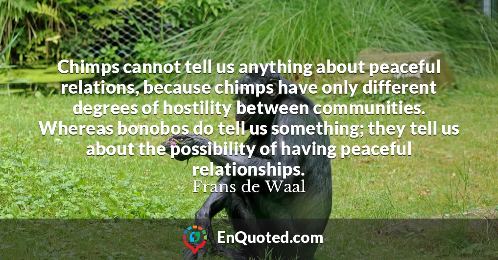 Chimps cannot tell us anything about peaceful relations, because chimps have only different degrees of hostility between communities. Whereas bonobos do tell us something; they tell us about the possibility of having peaceful relationships.