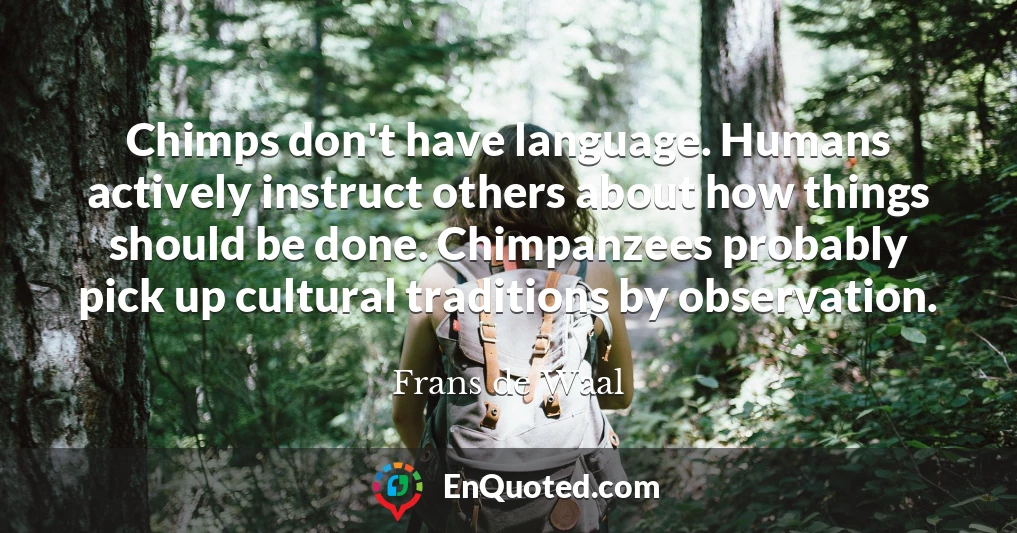 Chimps don't have language. Humans actively instruct others about how things should be done. Chimpanzees probably pick up cultural traditions by observation.