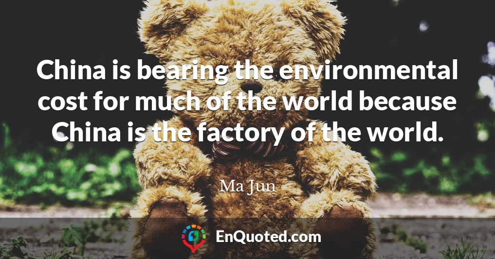 China is bearing the environmental cost for much of the world because China is the factory of the world.