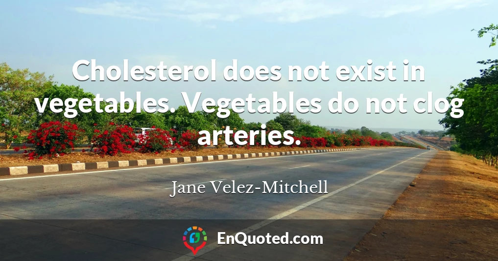 Cholesterol does not exist in vegetables. Vegetables do not clog arteries.