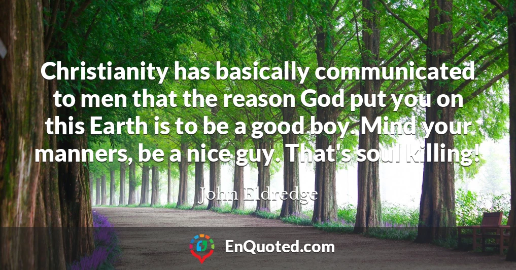 Christianity has basically communicated to men that the reason God put you on this Earth is to be a good boy. Mind your manners, be a nice guy. That's soul killing!
